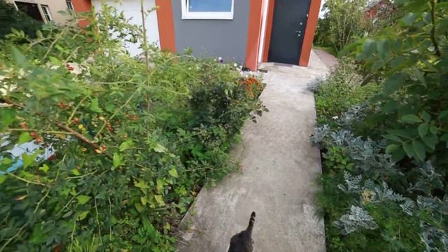 Raduzhdnaya Str., Kaliningrad