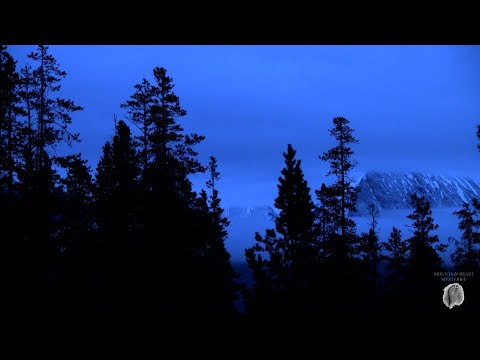 Bigfoot Expedition | Video Diary #5 | The Sierra Sounds