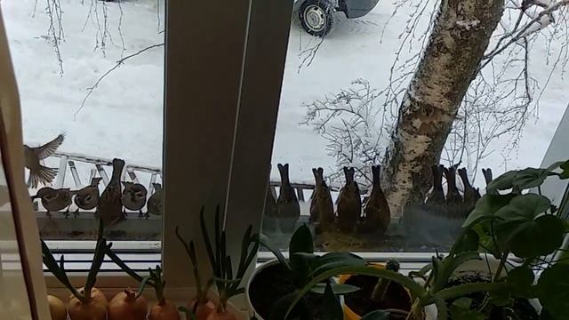 Буллет Тайм ))) смотреть онлайн