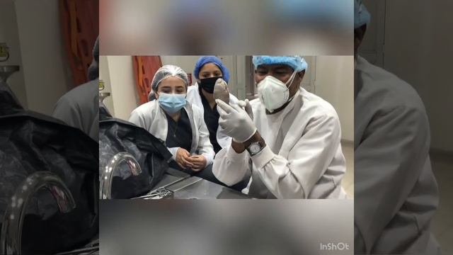 Colon lumboiliaco y Riñón - Anatomía médica смотреть онлайн