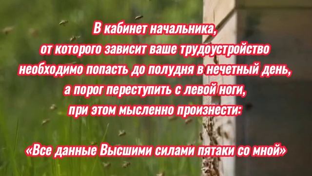 Найти Хорошую Работу. #youtubevideo #viralvideo #youtube #viral #video #magic #work #working смотреть онлайн