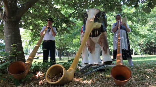 Swiss National Day | Alphorns 6