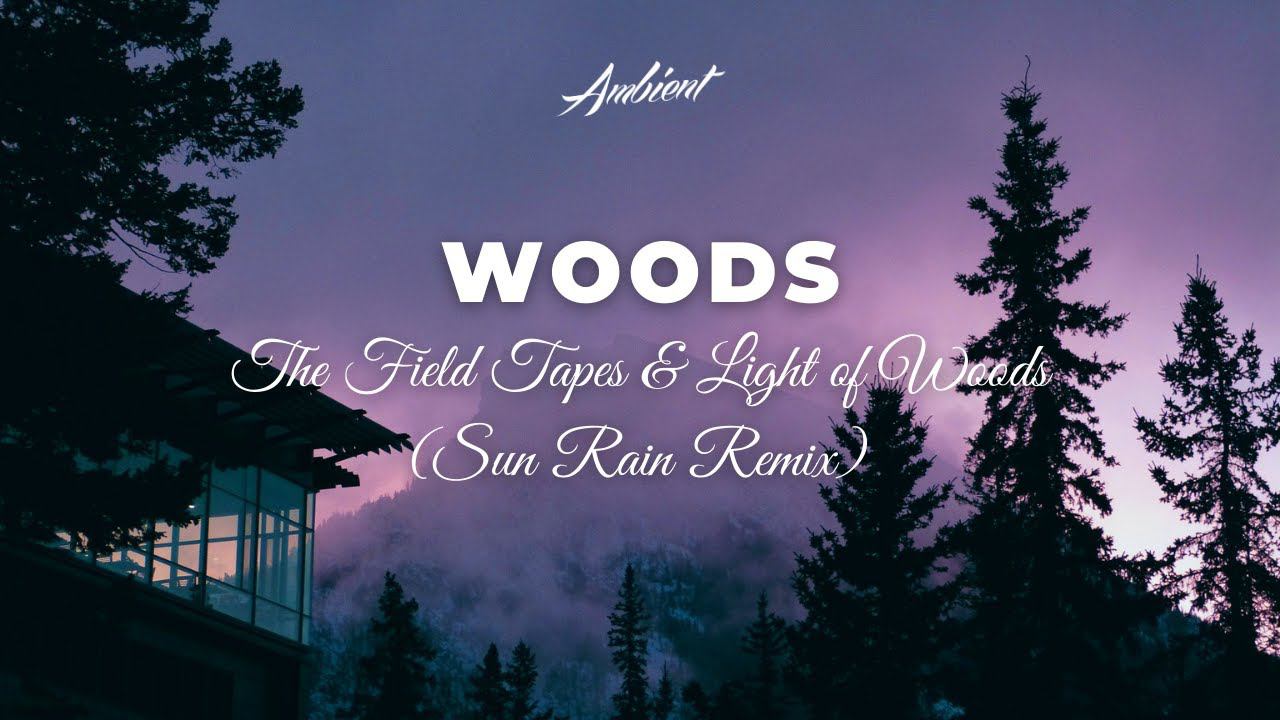 The Field Tapes & Light of Woods - Woods (Sun Rain Remix) [chill downtempo ambient] смотреть онлайн