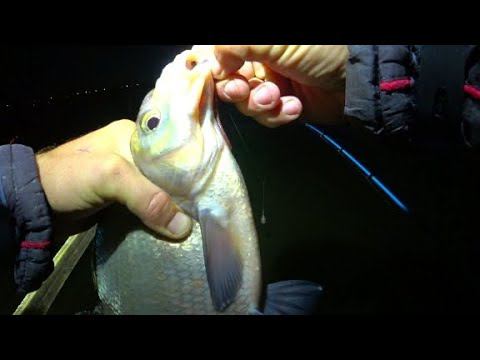 КРУПНЯК РАЗМЕРОМ С ЛОПАТУ ГЛОТАЮТ КРЮЧКИ ЦЕЛИКОМ! РЫБАЛКА НА ЗАКИДУШКИ смотреть онлайн