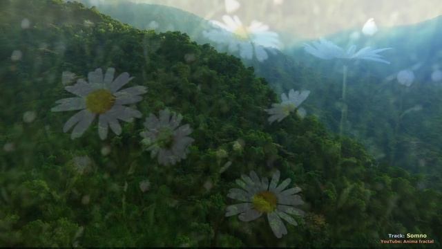 Somno. Music for sleeping and deep relaxation. Музыка для сна и глубокого расслабления смотреть онлайн