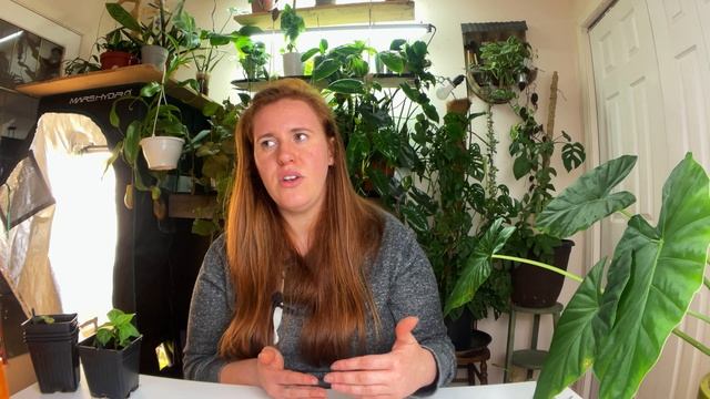 What Is Blood Meal Fertilizer? How To Apply Blood Meal To Plants & What Else You Should Add ? смотреть онлайн