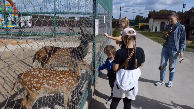Экзотик Парк - 2019 смотреть онлайн