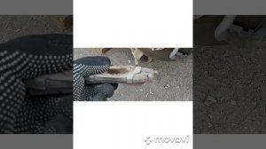 замена передних тормозных колодок хундай ix35.замена передних тормозных дисков хундай ix35