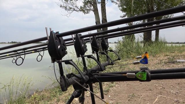 ЧЕМПИОНАТ АЛМАТЫ ПО СПОРТИВНОЙ ЛОВЛЕ КАРПА 2023 смотреть онлайн