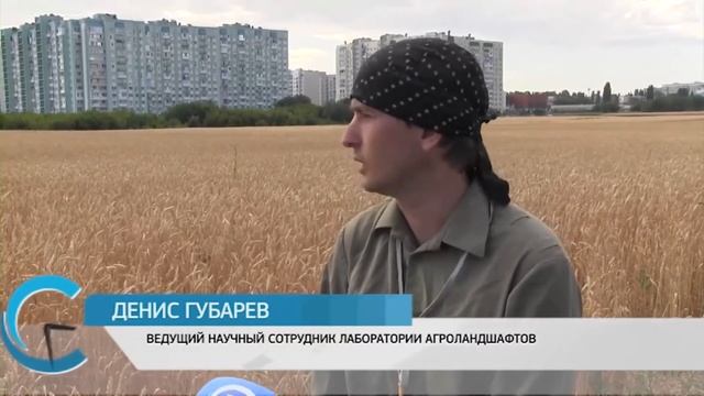 Сделано в Саратове. смотреть онлайн