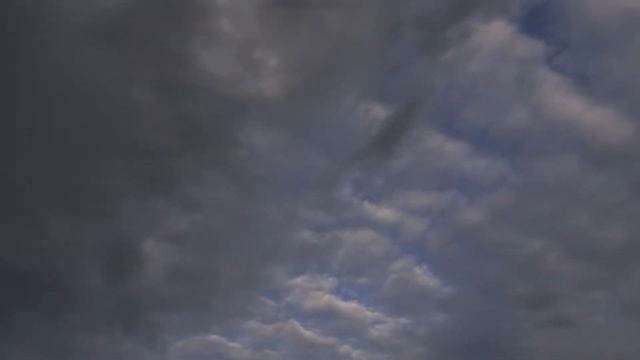 старый клен феерия2