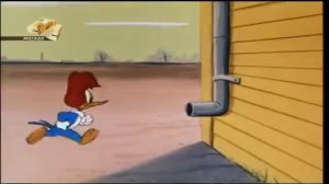 Дятел Вуди Вудпекер с 56 60 серию