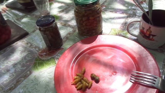 Сережки лещины замариновать или засолить. Соль и еда, если беда. смотреть онлайн