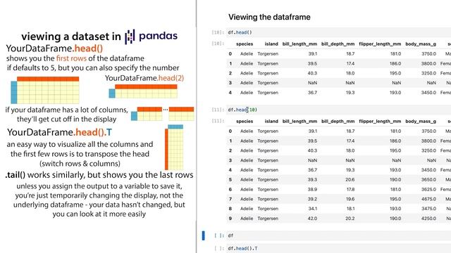 pandas tips for getting a quick overview of a dataframe (head, head.T(), info, describe, etc.) смотреть онлайн