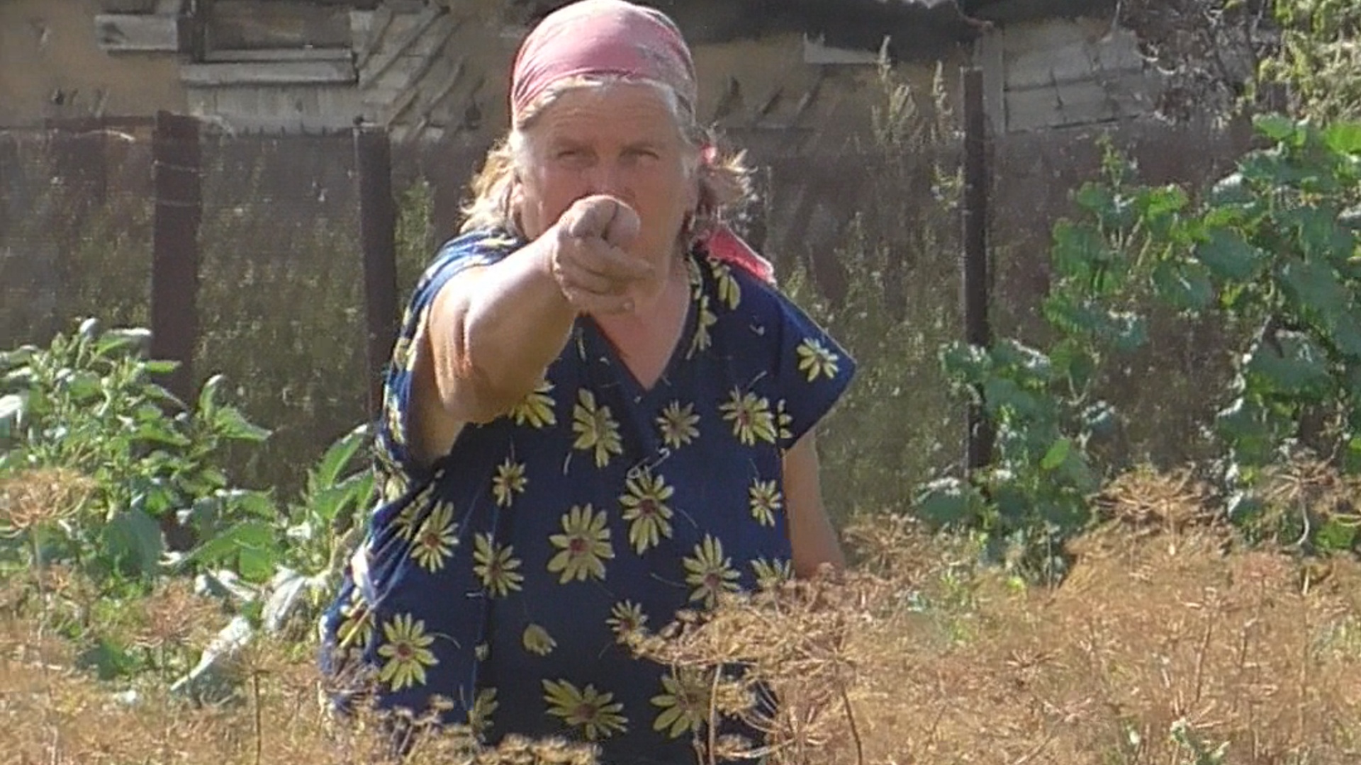 Что делает бабушка на огороде смотреть онлайн