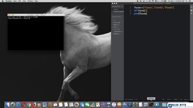 Complete Python Course - 027 - Delete an Element from a List смотреть онлайн