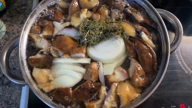 Вкусные рецепты с грибами