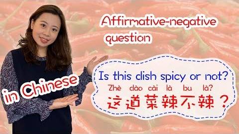 Affirmative-negative question in Chinese - Day 33_ 这道菜辣不辣_ _ Learn Chinese for Beginners смотреть онлайн