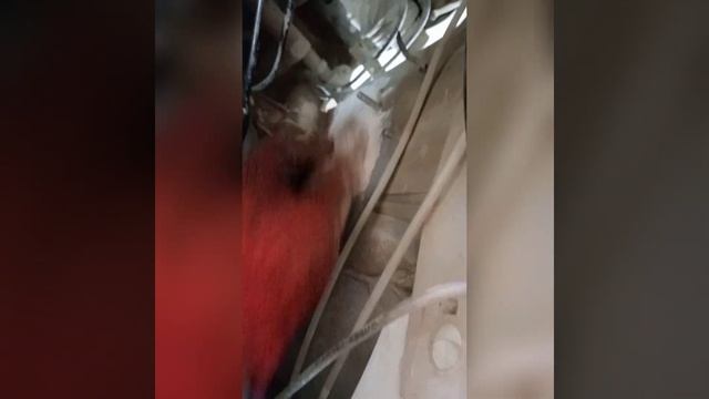 Кулібін ремонт ВАЗ 2110. Ремонт бампера. Поварка кузова. Підкраси смотреть онлайн