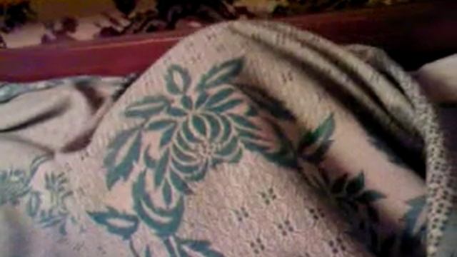 Белая кошка прячется под одеялом смотреть онлайн