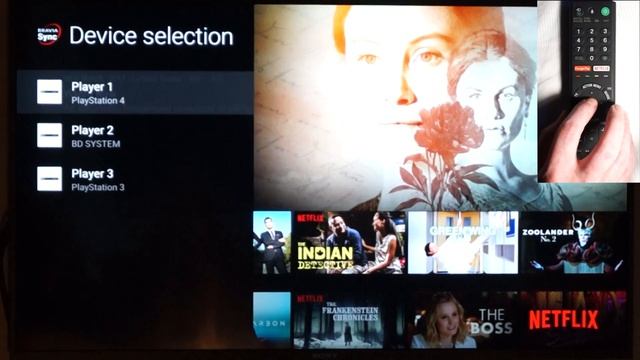Sync Menu on Sony Bravia Remote смотреть онлайн