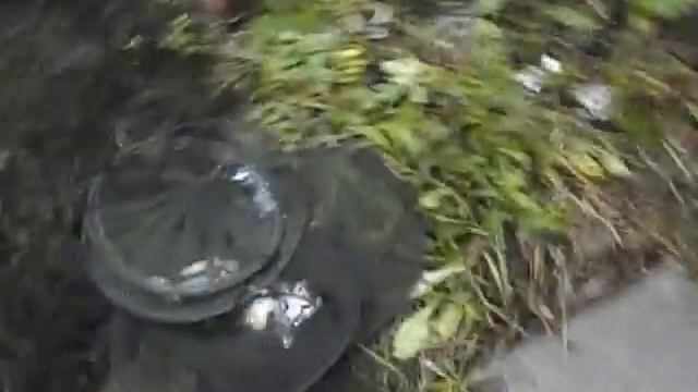 ловля на паук мелкой рыбы смотреть онлайн