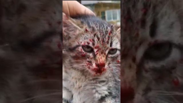 Валькирия #Shorts смотреть онлайн