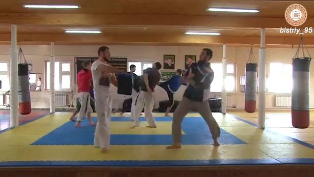 тхэквандо Новые-Атаги ДЮСШ с.Герменчук 28,11,2017 смотреть онлайн