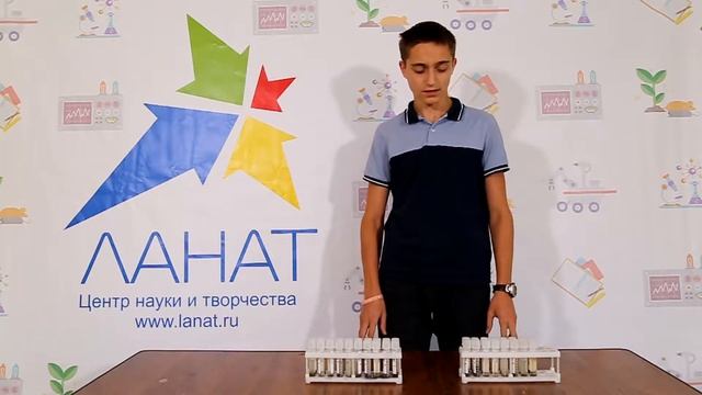 Анализ бактериального состава ризосферы растений смотреть онлайн