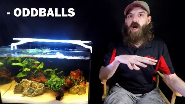 SETTING UP A FRESHWATER C-VUE AQUARIUM | PT 4: FISH & STOCKING IDEAS | WE'RE GIVING AWAY THIS SETUP смотреть онлайн