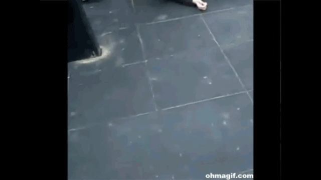 GIF приколы