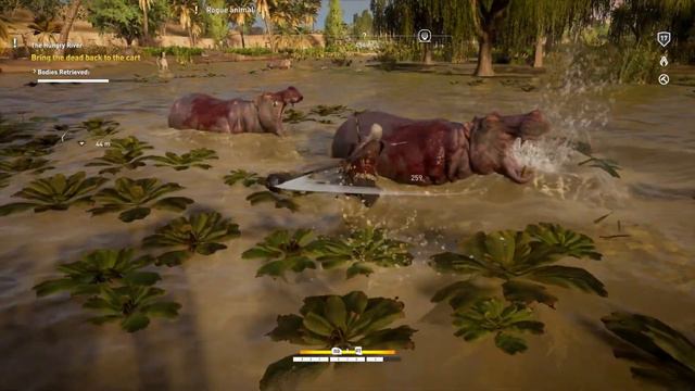 rogue Animal Saving a Man from Wild Hippo Attack Assassins Creed Odyssey смотреть онлайн