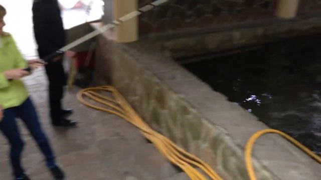 IMG 4523 смотреть онлайн