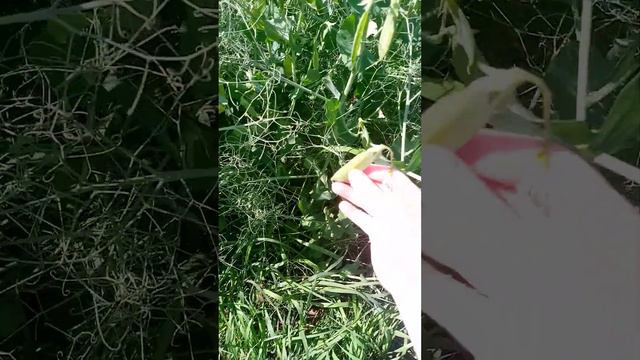 влог 1 как проходит наш день смотреть онлайн