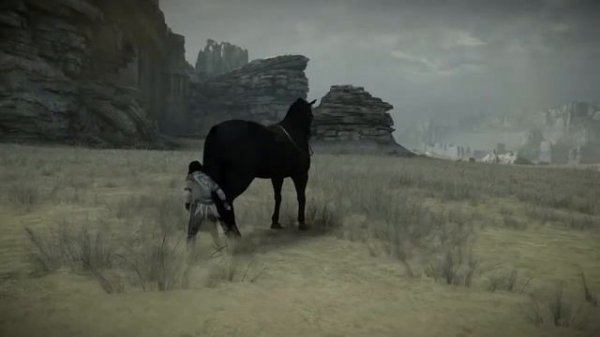 SHADOW OF THE COLOSSUS|6 Колосс