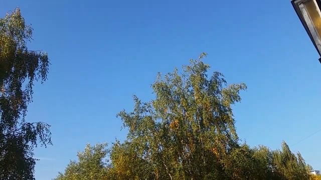 Магическое солнце 4 октября 2021 года поднимается всё выше и выше смотреть онлайн