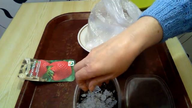 ПОСАДКА ЗЕМЛЯНИКИ "ГИГАНТЕЛЛА". смотреть онлайн