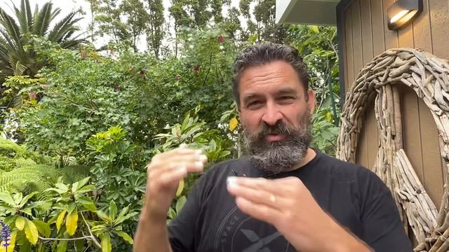 Coaching the weakest link, but there is more! смотреть онлайн