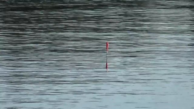 Ловля леща на стоячей воде на поплавок! смотреть онлайн