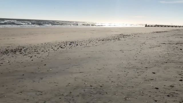 Лена Хеппи и Люба Рид: восточные танцы для Селима. Мадам S: пленник в стане врага. Lena Happy. смотреть онлайн