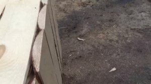 Самая простая  клетка для кроликов