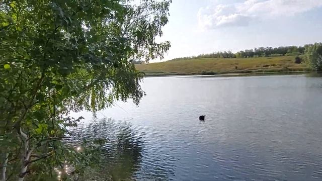 пруд_Зелененький 05 смотреть онлайн