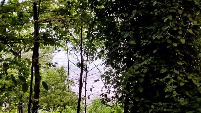 Чёрное море. Сочи, 23.06 Погодные новости Сочи. смотреть онлайн