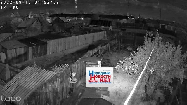 медведи на дачах Братск кбжб смотреть онлайн