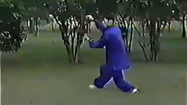 Багуачжан мастера Ван Шуцзиня: форма и применения. Демонстрирует японский ученик Усуи Макото.