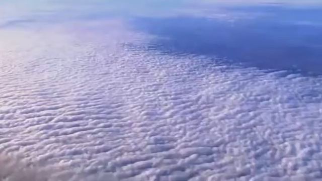 Баста Хэндз Ап! смотреть онлайн