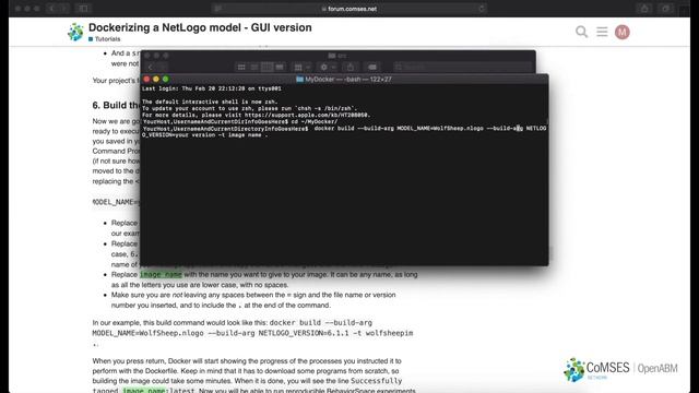 Dockerizing a NetLogo model - GUI version смотреть онлайн