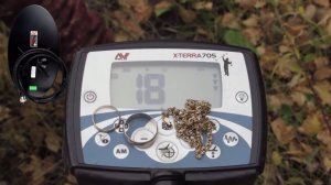 Minelab X-TERRA 705 по золоту