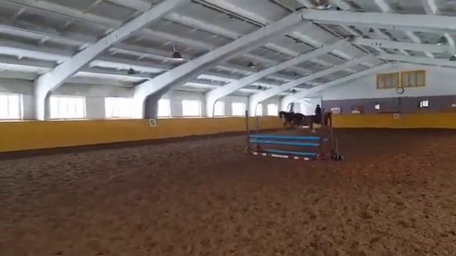 Ганноверская рыжая кобыла 5 лет смотреть онлайн