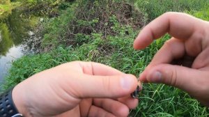 Весеняя рыбалка на речке. #река #Нугрь #рыбалка #плотва